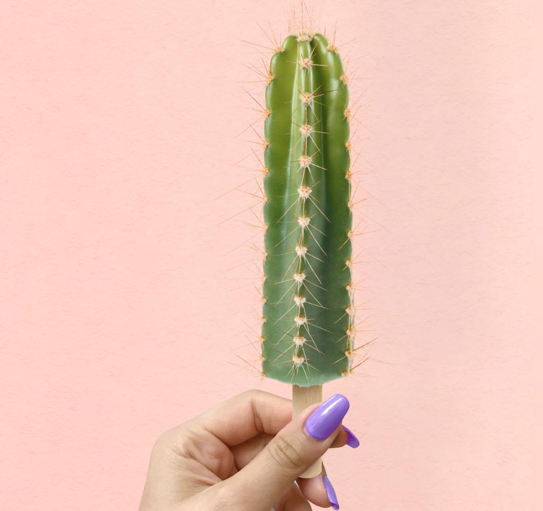 female hand holding cactus popsicle